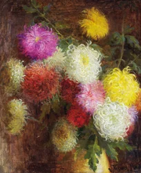 Chrysanthèmes