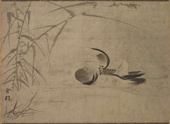 Canard mandarin, 1500s