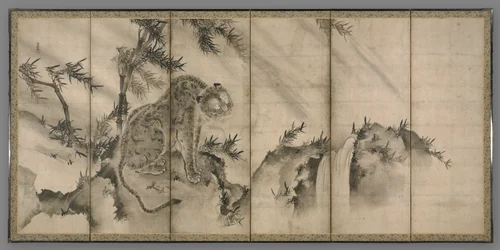 Tigre, 1500s