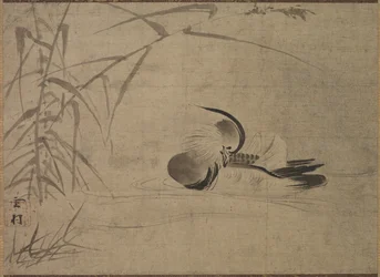 Canard Mandarin