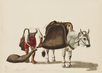 Porteur d