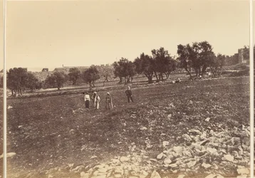 Vue générale de la ville, etc. du nord