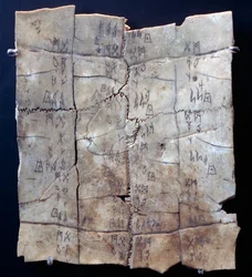 Pictogramme sur un plastron de tortue avec texte divinatoire (plastron de tortue)