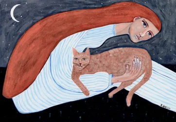 Une nuit de rêve avec mon chat