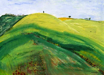 Paysage vallonné et serein
