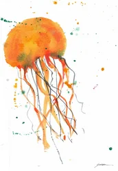 Méduse orange à l