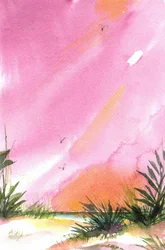 Plage du Coucher de soleil rose