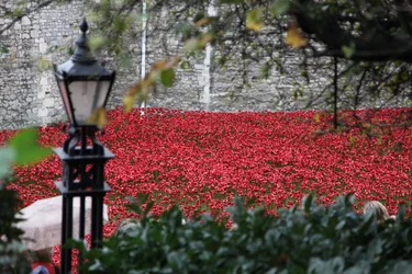 Terres et mers de sang balayées par le vent, Tour de Londres, 2014