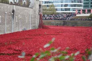 Terres et mers de sang balayées, Tour de Londres, 2014