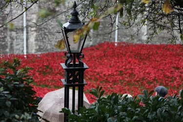 Terres et mers de sang balayées par le vent, Tour de Londres