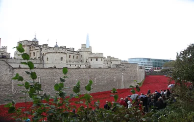 Terres et mers de sang balayées par le vent, Tour de Londres, 2014