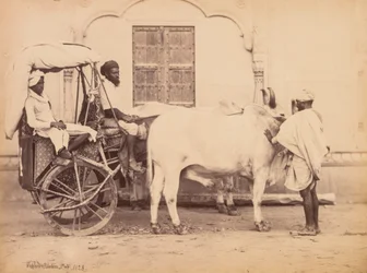 Chariot à bœufs, Delhi, 1863