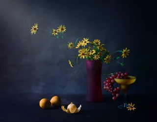 Fleurs et fruits de Moody