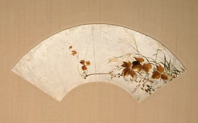 Feuilles et herbes d