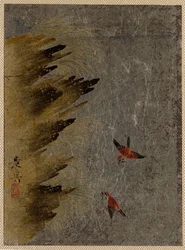 Oiseaux et rochers saillants