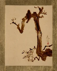 Corbeau sur un arbre