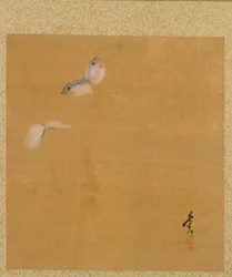 Feuille de l