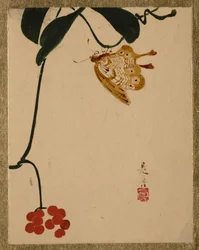 Plante à baies rouges et papillon