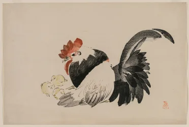 Coq, poule et poussins