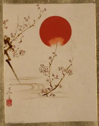 Soleil et branches de prunier