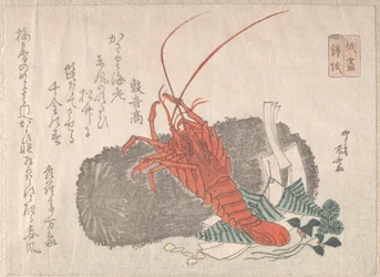 Homard sur un morceau de charbon avec d