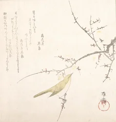 Nouvelle Lune, rossignol sur une branche de prunier, 19e siècle