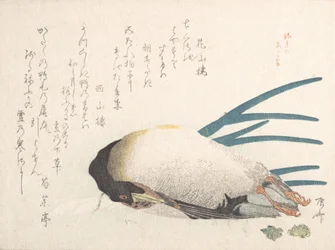 Collection de la pluie de printemps Harusame shu, vol. 1 : Canard et oignons, 1810s