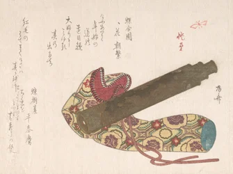 Télescope avec son sac