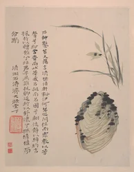 Wilderness Colors, ca. 1700 (album de douze peintures ; encre et couleur sur papier)
