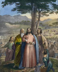 Le Christ Nourrit la Multitude