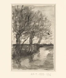 Arbres le long d