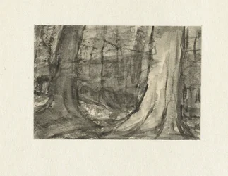 Vue entre les arbres