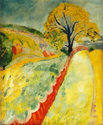 Paysage étendu