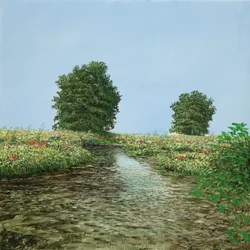 Image d