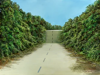 Conduire au-dessus