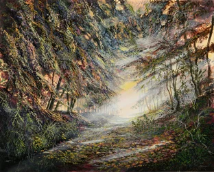 Barrières de Lumière