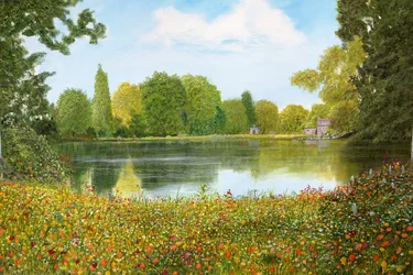 Vue du parc