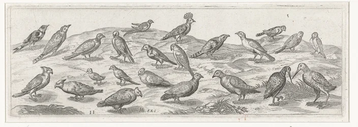 Paysage avec différentes espèces d