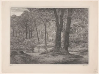 Forêt avec étang et homme allongé