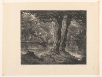 Eau dans une forêt