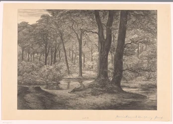 Vue sur le Hunnenschans sur la Veluwe (De hunnenschans)