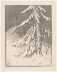 Sapin dans un paysage enneigé