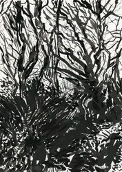 Ham Common Woods (encre et mine de plomb sur papier)
