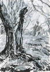 Vieil arbre, Richmond Park (peinture acrylique et encre sur papier)