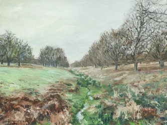 Richmond Park (huile sur toile)