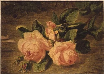 Roses roses
