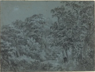 Dans les bois de La Haye