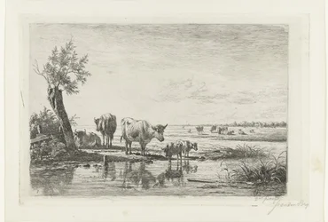 Paysage de prairie avec des vaches près de l