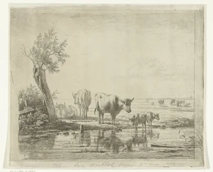 Paysage de prairie avec des vaches près de l