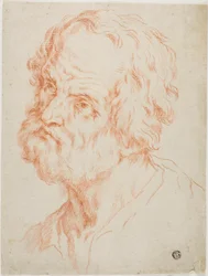 Tête masculine